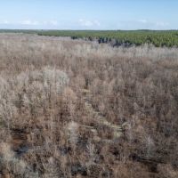 Mississippi Land for Sale Montgomery County