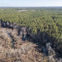 Mississippi Land for Sale Montgomery County images 2