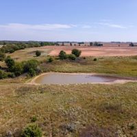 322 ACRES - FARMING PASTURE HUNTING CRP PRATT COUNTY KS images 2