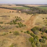 322 ACRES - FARMING PASTURE HUNTING CRP PRATT COUNTY KS images 4