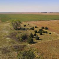 322 ACRES - FARMING PASTURE HUNTING CRP PRATT COUNTY KS images 5