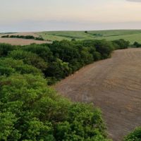 Lutz Ranch - 1 148.14 - Acres Pasture Dryland in Phillips County KS images 4
