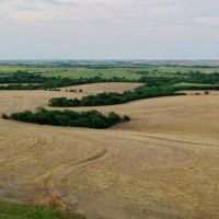 Lutz Ranch - 1 148.14 - Acres Pasture Dryland in Phillips County KS images 5