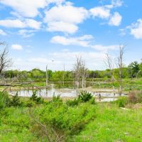 TBD CR 218 Unit 15 Hico Texas 76457 images 4