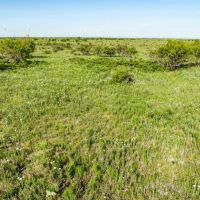 Crooked Tree Ranch images 3