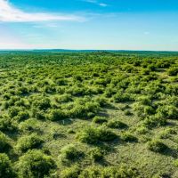 Crooked Tree Ranch images 5