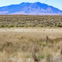 Willow Creek Ironside Ranch images 3