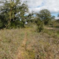 TBD Brown Road in Flatonia images 3