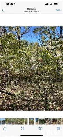 0 Timberwolf Drive Goreville IL 62939 featured image