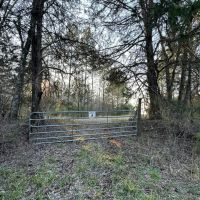 Darlington Ridge images 3