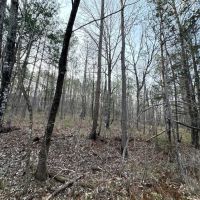 Darlington Ridge images 4