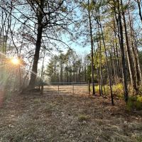 Darlington Ridge images 5