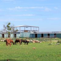 Kingbird Ranch images 2
