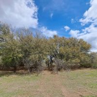 Hilltop views with ponds images 3