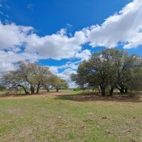 Hilltop views with ponds images 5