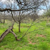 Ritter Creek Ranch images 5