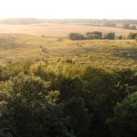 Bureau County Illinois 27 Acres of Land with Cabin For Sale images 4