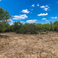 Big Oak Ranch images 2