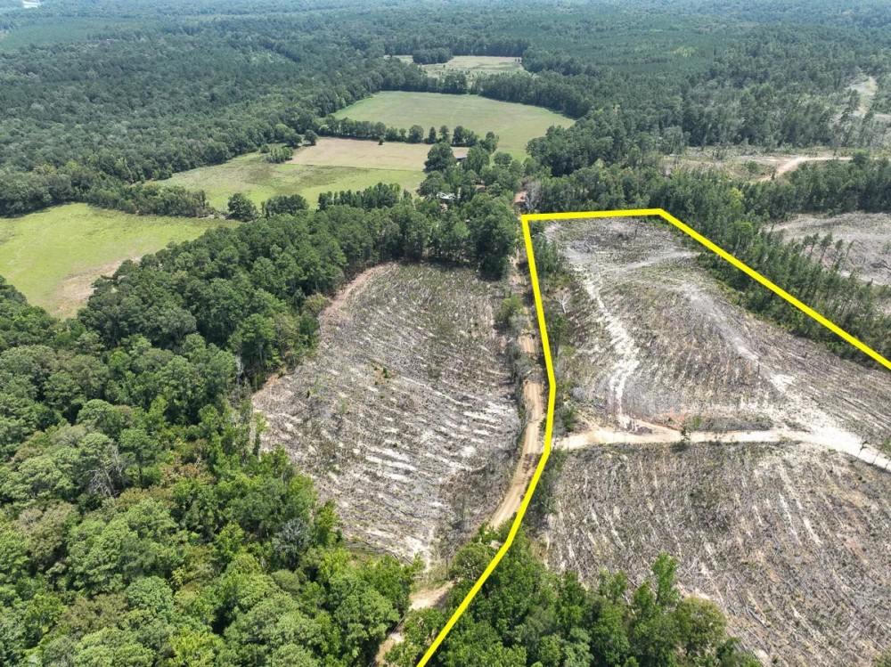 10 Acres County Road 2108 T-3 featured image