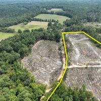10 Acres County Road 2108 T-3