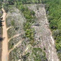 10 Acres County Road 2108 T-3 images 2