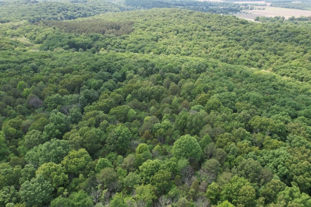 O Tom Dick Hill Road Stonefort IL 62987 featured image