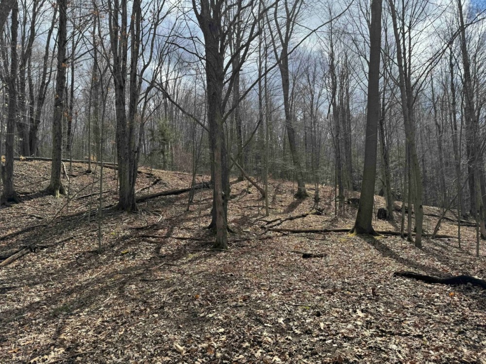 25 acres Hunting Land and Recreational Land in Grove NY County Road 15b featured image