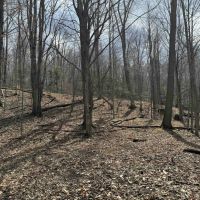 25 acres Hunting Land and Recreational Land in Grove NY County Road 15b