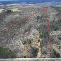 25 acres Hunting Land and Recreational Land in Grove NY County Road 15b images 2