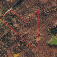 25 acres Hunting Land and Recreational Land in Grove NY County Road 15b images 3