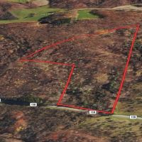 25 acres Hunting Land and Recreational Land in Grove NY County Road 15b images 4