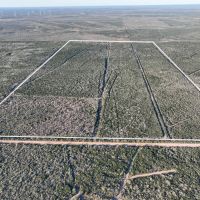 Triple 3 Ranch images 2