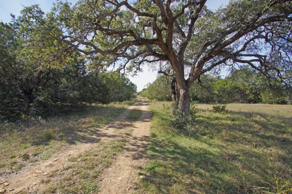 104 ac Ag Exempt Unrestricted in Spricewood TX featured image