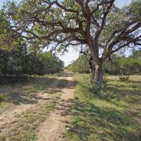 104 ac Ag Exempt Unrestricted in Spricewood TX
