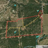 104 ac Ag Exempt Unrestricted in Spricewood TX images 3