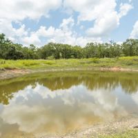 10.01 Acres in Milam County images 3