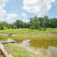 10.01 Acres in Milam County images 4