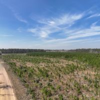 50 acres T-18 Spurger Pines North images 3