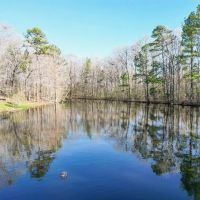 Country Home and Land for Sale in Hinds County MS images 4