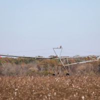 1 294 Acre Irrigated Farm images 2