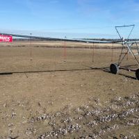 1 294 Acre Irrigated Farm images 5
