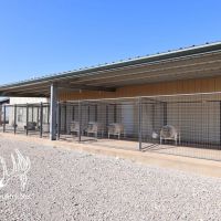 Roger Mills County Oklahoma Land for Sale images 4