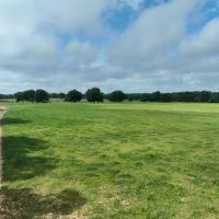 316 Acre Cattle Ranch Red River Co TX