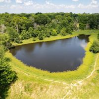 316 Acre Cattle Ranch Red River Co TX images 2