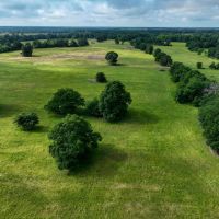 316 Acre Cattle Ranch Red River Co TX images 3