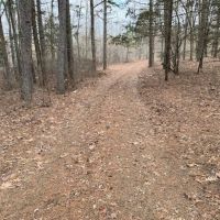 Hunting And Rec Tract With Shop Building Ready To Set Up Your Hunt Camp images 2