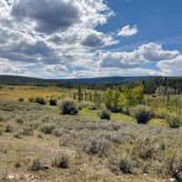 FIVE POINTS RANCH images 4
