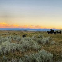 Arrow Ranch images 3