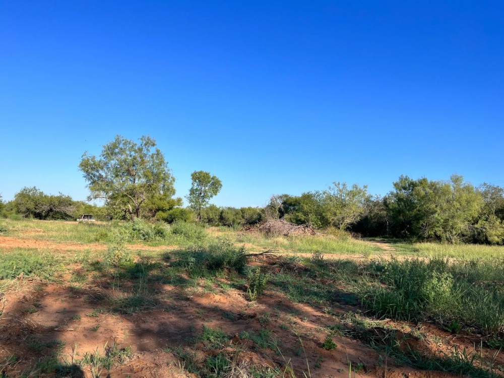 Frio 20 Acres featured image