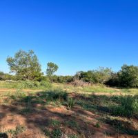 Frio 20 Acres